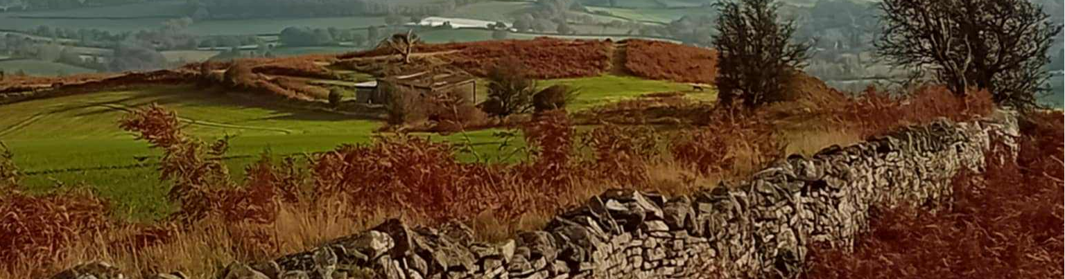 Hilltop view over Knighton